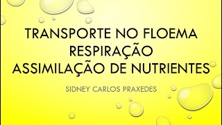 Transporte no floema, respiração e assimilação de nutrientes - revisão