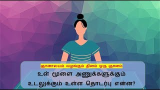 உள் மூளை அணுக்களுக்கும் உடலுக்கும் உள்ள தொடர்பு என்ன - ஞானாலயம் வழங்கும் தினம் ஒரு ஞானம்