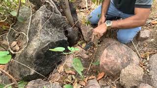 BOTIJAS -  HISTÓRIAS VERDADEIRAS SOBRE BOTIJAS E TESOUROS