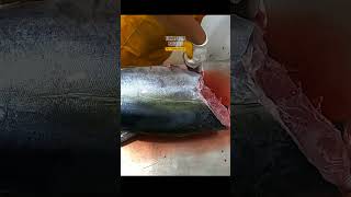 BEYOND REASON very big tuna fish cutting from Aceh Indonesia