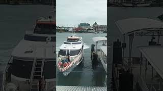 Batam Fast Ferry 🛥 Jet Raider Kedatangan Dari Batam Ke Singapore😎 || Pelabuhan Harbourfront #shorts