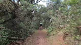 Zoom Bike Park - Trilha Quebra Gelo