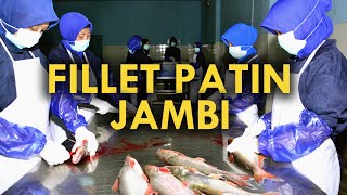 Pengolahan Fillet Ikan Patin (Dori Fillet) Jambi