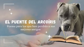 El Puente del Arcoíris | Poema para los que han perdido a sus Mejores Amigos.