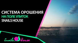 Система орошения на поле | Snails House Farm