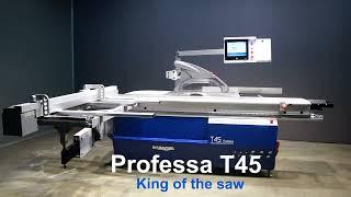 Your Dream saw-the king of the precision sliding table saw panel saw