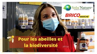 Solu'Nature et Bricomarché Le Cendre, un partenariat pour défendre les Abeilles et la biodiversité