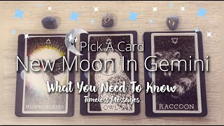 🌙NEW MOON IN ♊️GEMINI✨PICK A CARD🔮COLLECTIVE READING💫"WHAT YOU NEED TO KNOW"🧿CHARMS⏳TIMELESS