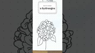 Draw hydrangea doodles! Easy steps for a beautiful bullet journal spread. Watch on YouTube! #BujoArt