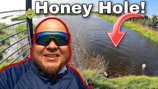 Fishing Honey Hole for BIG Fish