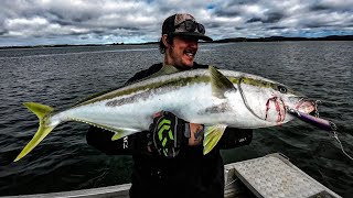 Big winter Kingfish | Huge fish teaches me a lesson