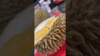 Durian spot sentul area next to sri suajaya condo #CapCut #durian #langsat #mangoesteen #rambutan