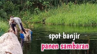 GANASNYA SAMBARAN IKAN GABUS DISAAT BANJIR // CASTING IKAN GABUS