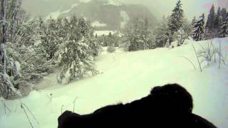 Black boxer dog in deep snow