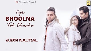 Tujhe Bhoolna Toh Chaaha Lyrics | Jubin Nautiyal | VJ-Vikas Jain