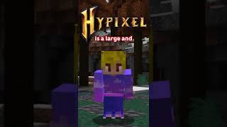 Hypixel minecraft is missing something! #Shorts