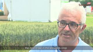 Jean Luc VERDIER  - Sorghum and innovative cultivation techniques