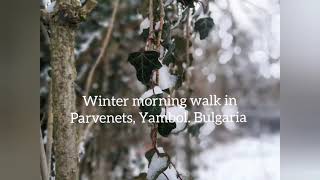 A winter morning walk in Parvenets, Yambol. Bulgaria. February 2021.