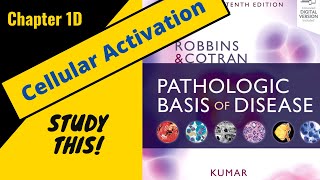 Robbins and Cotran Pathologic Basis of Disease (Chapter 1D - Cellular Activation) StudyThis!