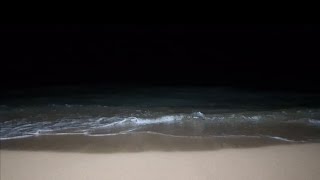 Sound of waves #night #sea #waikiki #usa #waves #honolulu #nature #hawaii