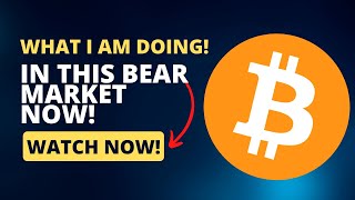 What Am Doing in This CRYPTO BEAR MARKET!!!