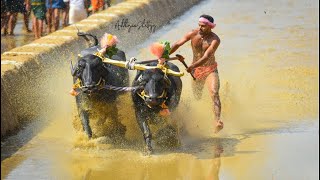 Team Baradi/Bola | kudhi #kambala |Manju Mutthu |