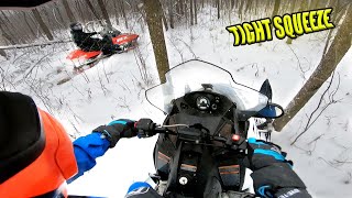 Snowy Rip Through The Woods - Polaris INDY 550 LXT