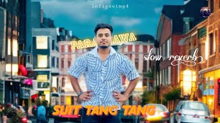 suit tang tang (slow reverb) Parasbawa | New Punjabi Love Romantic Song 2024 #punjabisong