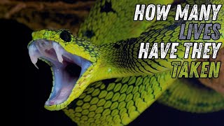 Top 5 Deadly Animals You Should Avoid