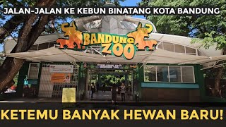 BELAJAR HEWAN DI KEBUN BINATANG KOTA BANDUNG