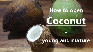 Open young and mature coconut - with a knife