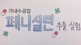 집에서 페니실린 DIY 만들기 (사고실험 - 고1 미술 수행평가 작품) - How to Make Penicillin at Home