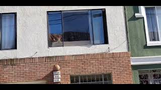 ❌ Dog Licking Window in San Francisco