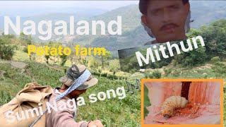 777 Rice Mill to 777 Duck🦆 Farm || Mithun in the farm 😲 Windy Day