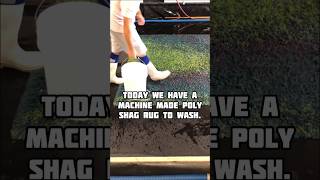 Let’s learn about shag rugs!#shagrugcleaning #rugwash #arizona #satisfying #educational