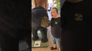 Harry Hugs a 600lb. Black Bear - A Down Syndrome Story