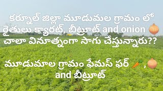 Challenges in growing carrot, beetroot and onion cultivation in mudumala village kurnool district