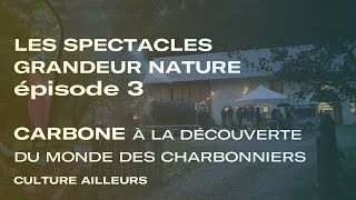 Les spectacles grandeur nature - # 3 - Carbone - Patrimoine culturel 2024