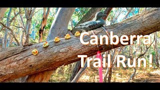 Trail Running - Canberra