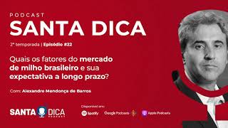 Fatores do mercado de milho brasileiro e sua expectativa a longo prazo | Santa Dica Temp. 2 Ep.22