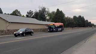 Pueblo Transit Coach 196