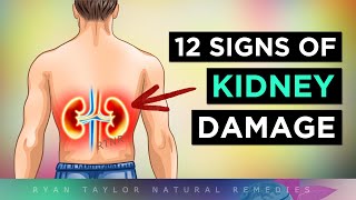 12 Signs Your KIDNEYS Are In TROUBLE