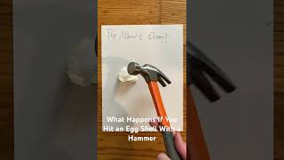 What Happens if You Hit an Egg Shell With a Hammer?