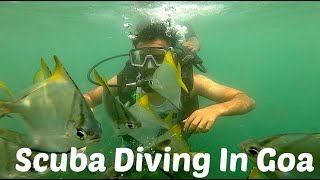 Scuba diving in Goa Malvan || #Grand #Island #Goa #Scuba #Diving || #adventure  In Goa #experience .