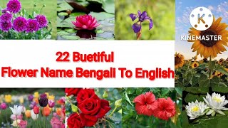 Flower Name Bengali To English ।22Flower Name Learn ।