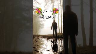 استرح وتدبر مع القرآن # تلاوة خاشعة #قران #coran