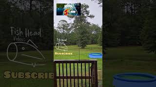 Before the HURRICANE Helene. Part 1 of 2 #shorts #youtubeshorts #Hurricane #trending  #Tallahassee