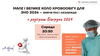 Мале і велике коло кровообігу для ЗНО 2024 - вивчи раз і назавжди