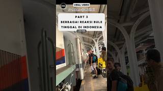 Reaksi Bule Tinggal Di Indonesia, Pohon Besar Bikin Kesurupan⁉️ #reaksibule #shorts #viralvideo