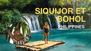 Siquijor et Bohol - découverte du petit tarsier ✨